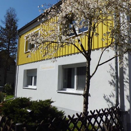 Ferienwohnung Im Haus Sonnenschein Beim Senftenberger See Hosena Exteriér fotografie