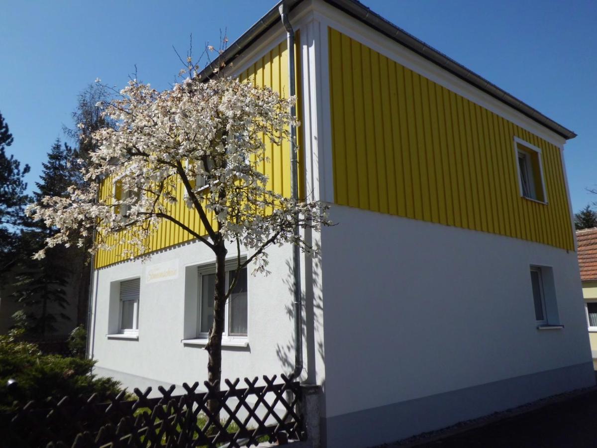 Ferienwohnung Im Haus Sonnenschein Beim Senftenberger See Hosena Exteriér fotografie